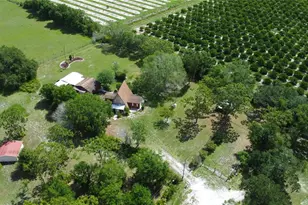 3740 NE Pitcher Dr, Arcadia, FL 34266 - Photo 29