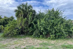 12173 Gulfstream Blvd, Port Charlotte, FL 33981 - Photo 1
