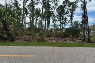 23369 Avacado Ave, Punta Gorda, FL 33980 - Photo 1
