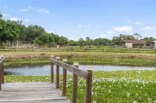29005 Palm Shores Blvd, Punta Gorda, FL 33982 - Photo 5