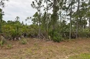 12141 Mc Elroy Ave, Port Charlotte, FL 33981 - Photo 1