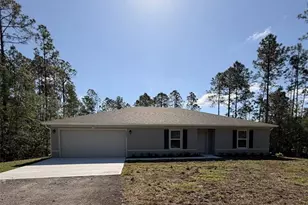 10450 Baylor Ave, Hastings, FL 32145 - Photo 1