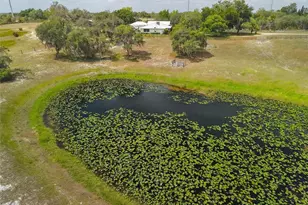 503 Bear Road Rd, Lake Placid, FL 33852 - Photo 43