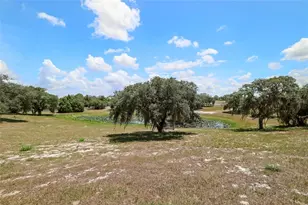 503 Bear Road Rd, Lake Placid, FL 33852 - Photo 33