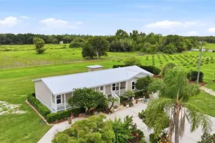 11354 SE South Hog Bay Ave, Arcadia, FL 34266 - Photo 59