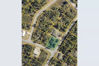 Lot #3 Towhlen Road, North Port, FL 34291 - Photo 5