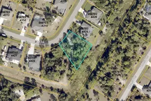 Mc Ginnis Terrace, North Port, FL 34286 - Photo 1