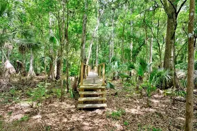 2500 Arbuckle Shores Road, Frostproof, FL 33843 - Photo 3