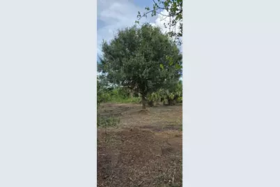16171 NW 254th Street, Okeechobee, FL 34972 - Photo 11