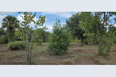 16171 NW 254th Street, Okeechobee, FL 34972 - Photo 9
