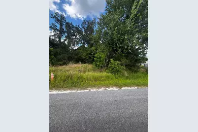 Lee Street, Bowling Green, FL 33834 - Photo 1