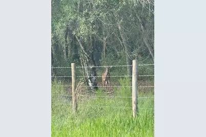 Se Brown Road, Arcadia, FL 34266 - Photo 9