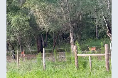 Se Brown Road, Arcadia, FL 34266 - Photo 7