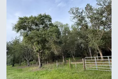 Se Brown Road, Arcadia, FL 34266 - Photo 1