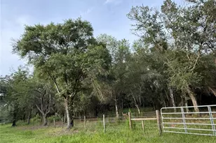 SE Brown Rd, Arcadia, FL 34266 - Photo 1