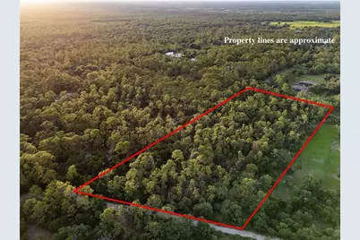 Slash Pine Drive, North Port, FL 34291 - Photo 13