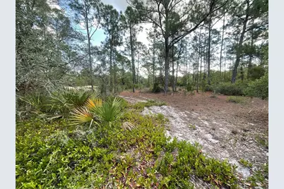 515 Concert Drive, Lake Placid, FL 33852 - Photo 3