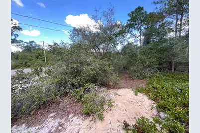 515 Concert Drive, Lake Placid, FL 33852 - Photo 5