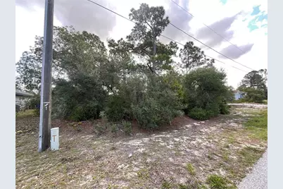 515 Concert Drive, Lake Placid, FL 33852 - Photo 1