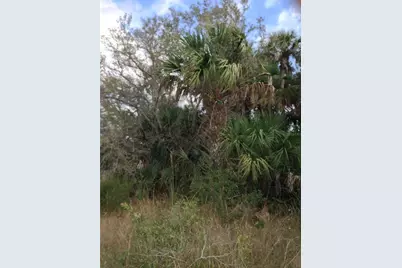 50670 Bermont Road, Punta Gorda, FL 33982 - Photo 5