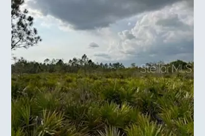 50530 Bermont Road, Punta Gorda, FL 33982 - Photo 23