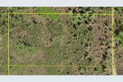 50530 Bermont Road, Punta Gorda, FL 33982 - Photo 5