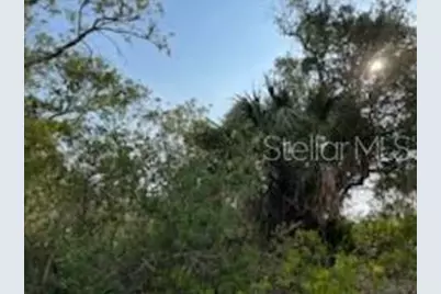 50530 Bermont Road, Punta Gorda, FL 33982 - Photo 17