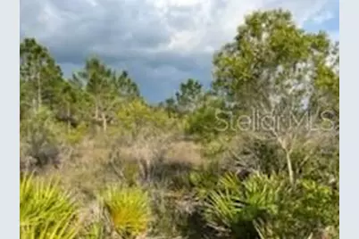 50530 Bermont Road, Punta Gorda, FL 33982 - Photo 15