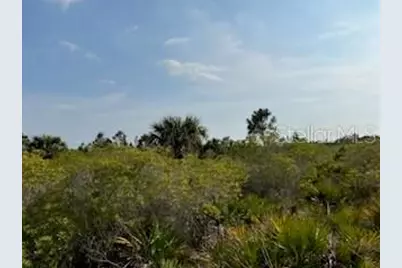 50530 Bermont Road, Punta Gorda, FL 33982 - Photo 21