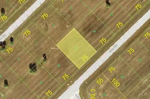 13667 Walleye Way, Placida, FL 33946 - Photo 1