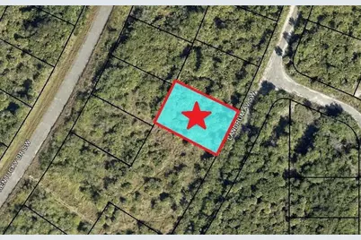 2466 Landrum Avenue SW, Palm Bay, FL 32908 - Photo 1