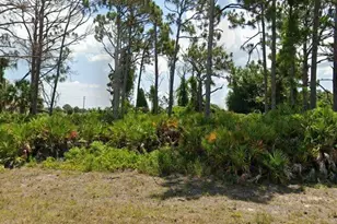 15 Afloat Dr, Placida, FL 33946 - Photo 1