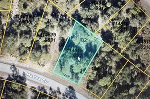 Mattox Circle, North Port, FL 34288 - Photo 1