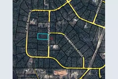 0 Canyon Avenue, Alford, FL 32420 - Photo 3