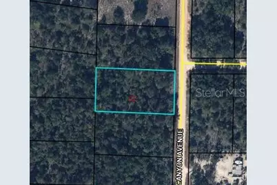 0 Canyon Avenue, Alford, FL 32420 - Photo 1