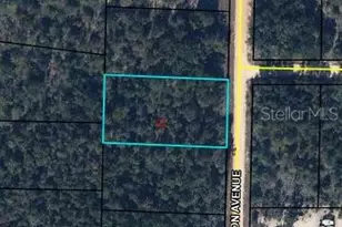 0 Canyon Ave, Alford, FL 32420 - Photo 1