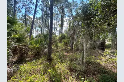 Billberry Street, North Port, FL 34288 - Photo 5