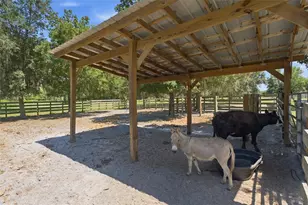 7674 SW Environmental Lab St, Arcadia, FL 34266 - Photo 31