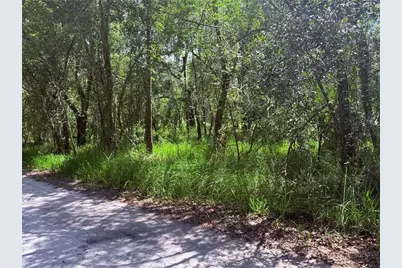 Ne River Ridge Avenue, Arcadia, FL 34266 - Photo 3