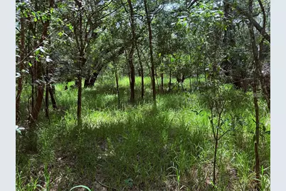 Ne River Ridge Avenue, Arcadia, FL 34266 - Photo 1