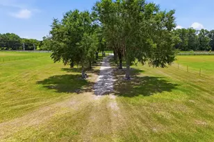 11748 NE Jacksonville Rd, Anthony, FL 32617 - Photo 9