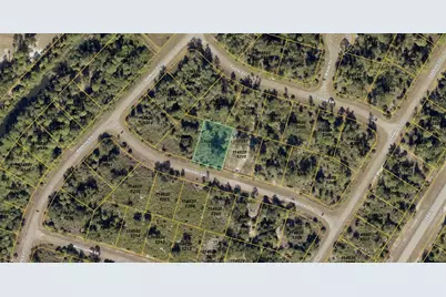 Skinner Lane, North Port, FL 34288 - Photo 3