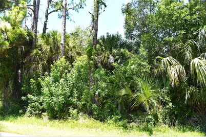 McTague Street, North Port, FL 34291 - Photo 1