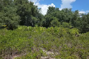 1297 Sulstone Dr, Punta Gorda, FL 33983 - Photo 1