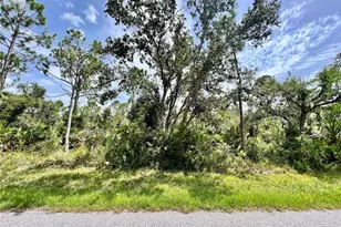 13377 Johannes Ave, Port Charlotte, FL 33953 - Photo 1