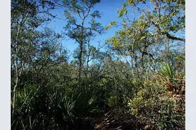10566 Interlacher Drive, Sebring, FL 33875 - Photo 5
