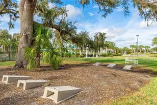 10703 Falling Leaf Ct, Parrish, FL 34219 - Photo 63