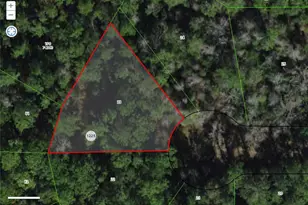 1375 E Keesler Ct, Citrus Springs, FL 34434 - Photo 1
