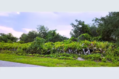 12242 Bacchus Road, Port Charlotte, FL 33981 - Photo 1