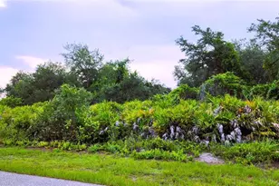 12242 Bacchus Rd, Port Charlotte, FL 33981 - Photo 1